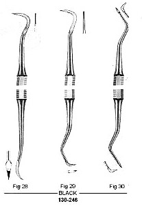 Black Scaler, Octagonal